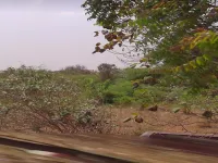  Agricultural Land for Sale in Thalakudi, Tiruchirappalli