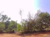  Agricultural Land for Sale in Kundapura, Udupi