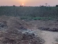  Agricultural Land for Sale in Anjar, Kutch