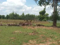  Agricultural Land for Sale in Jayankondam, Ariyalur