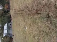  Residential Plot for Sale in Magam, Badgam