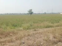  Industrial Land for Sale in Jarod, Vadodara