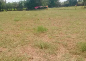 Industrial Land for Sale in Padra, Vadodara