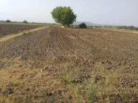  Agricultural Land for Sale in Vadamalapet, Chittoor