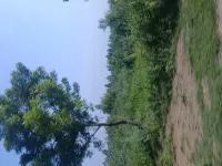  Agricultural Land for Sale in Renigunta, Tirupati