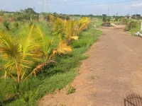  Agricultural Land for Sale in Avadi, Chennai