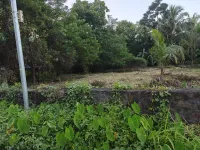  Residential Plot for Sale in Perinthalmanna, Malappuram