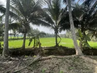  Agricultural Land for Sale in AT Agraharam, Guntur