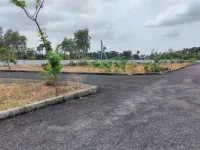  Residential Plot for Sale in Delhi More, Darbhanga