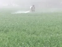  Agricultural Land for Sale in Barara, Ambala