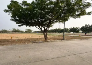 Commercial Land for Sale in Jait, Vrindavan