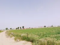  Agricultural Land for Sale in Mohangarh, Jaisalmer
