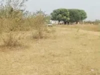  Agricultural Land for Sale in Shadnagar, Hyderabad