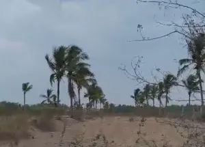 Agricultural Land for Sale in Koratagere, Tumkur