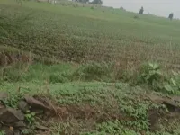 Agricultural Land for Sale in Sunjwan, Jammu