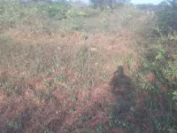  Agricultural Land for Sale in Harohalli, Mysore