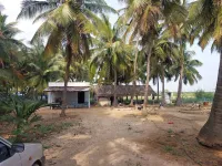  Agricultural Land for Sale in Udumalaipettai, Tirupur