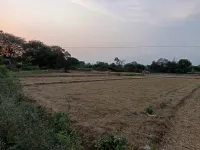  Agricultural Land for Sale in Ranipettai, Vellore
