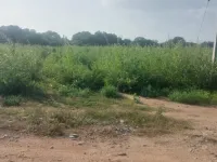  Commercial Land for Rent in Sivakasi, Virudhunagar