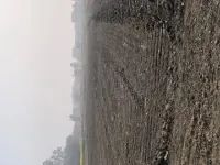 Residential Plot for Sale in Sitapur Road, Lucknow