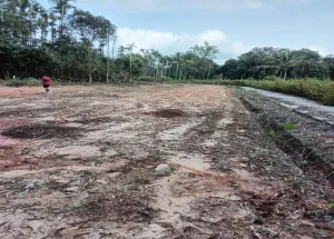 Residential Plot for Sale in Sringeri, Chikmagalur
