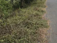  Commercial Land for Sale in Mansar, Nagpur