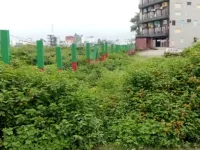  Residential Plot for Sale in Nirmal Bag, Rishikesh