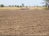  Agricultural Land for Sale in Kanjari, Anand