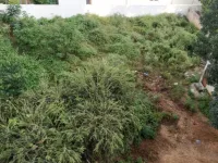  Warehouse for Rent in Sector 2 HSR Layout, Bangalore