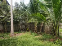  Residential Plot for Sale in Thrippunithura, Ernakulam