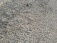  Agricultural Land for Sale in Sivagiri, Tirunelveli