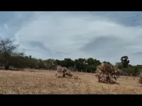  Agricultural Land for Sale in Moolakaraipatti, Tirunelveli