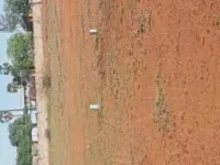  Commercial Land for Sale in Pattanam, Coimbatore