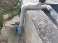  Agricultural Land for Sale in Theni Sidco, 