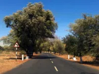  Residential Plot for Sale in Thammampatti, Salem