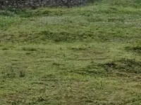  Residential Plot for Sale in Kodaikanal, Dindigul