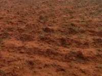  Agricultural Land for Sale in Thondamuthur, Coimbatore