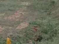  Commercial Land for Sale in Thudiyalur, Coimbatore