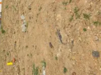  Residential Plot for Sale in Cheran Ma Nagar, Coimbatore