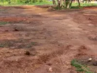  Residential Plot for Sale in Teachers Colony, Tirunelveli