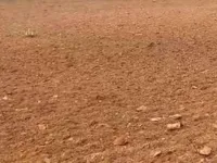  Commercial Land for Sale in Dhanalakshmi Nagar, Avadi, Chennai