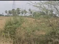  Commercial Land for Sale in Ottapidaram, Thoothukudi