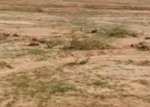  Residential Plot for Sale in Electronic City, Bangalore