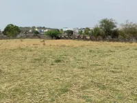  Agricultural Land for Sale in Naugaon, Alwar