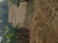  Residential Plot for Sale in Chumukedima, Dimapur