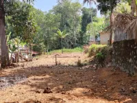  Agricultural Land for Sale in Mezhuveli, Pathanamthitta
