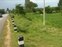 Agricultural Land for Sale in Koratagere, Tumkur