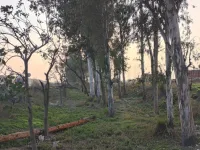  Residential Plot for Sale in Gajraula, Amroha