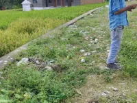  Commercial Land for Rent in Tanda, Kangra