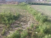  Agricultural Land for Sale in Landran Banur Road, Mohali